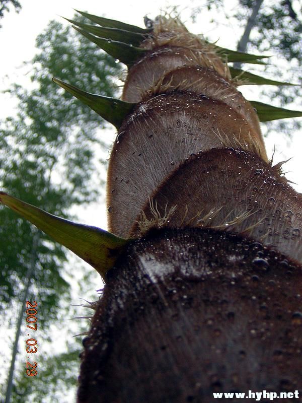 DSCN0010.jpg