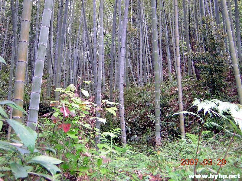 DSCN3352.jpg