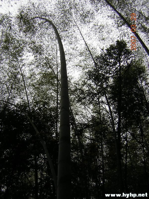 DSCN0022.jpg