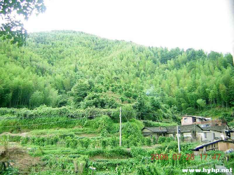 DSCN1798.jpg