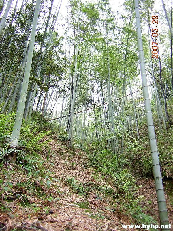DSCN0021.jpg