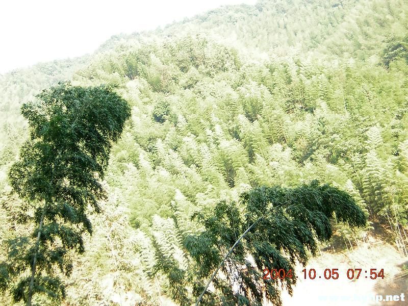DSCN0280.JPG