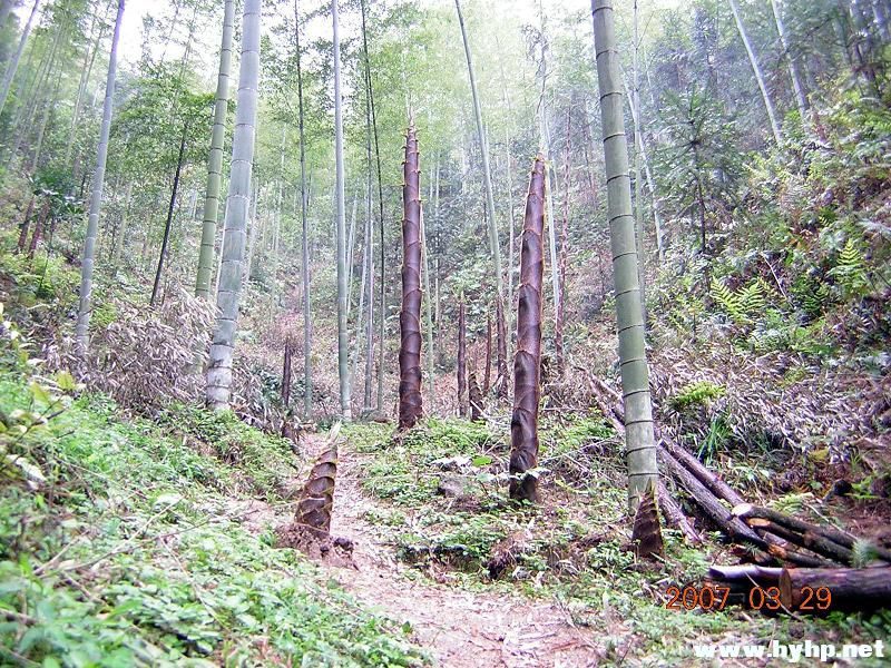 DSCN3279.jpg