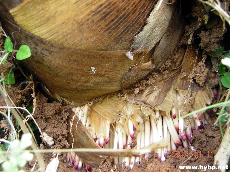 DSCN3545.jpg