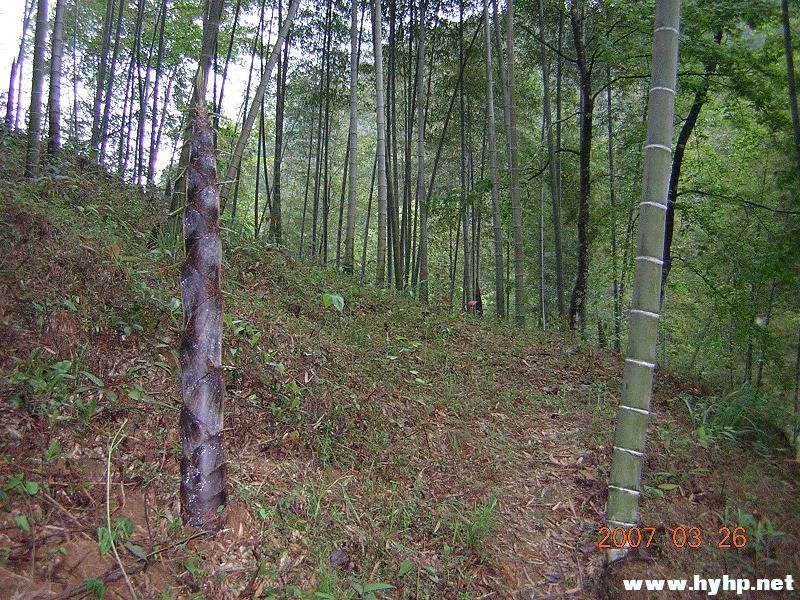 DSCN3197.jpg