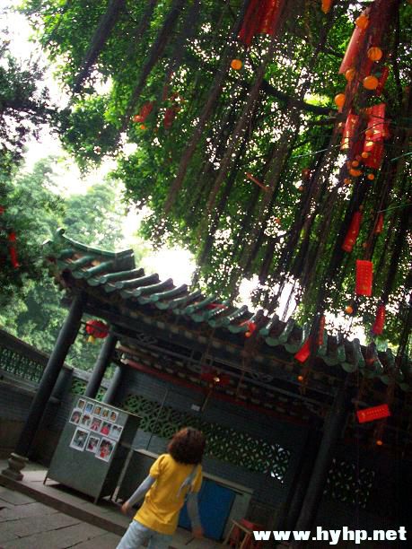 100_0346.JPG