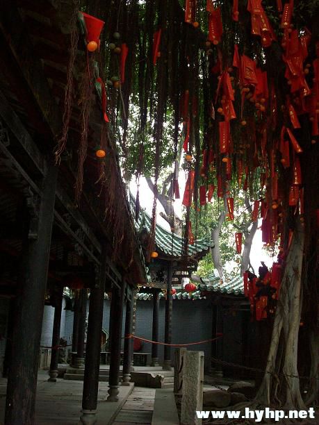 100_0354.JPG