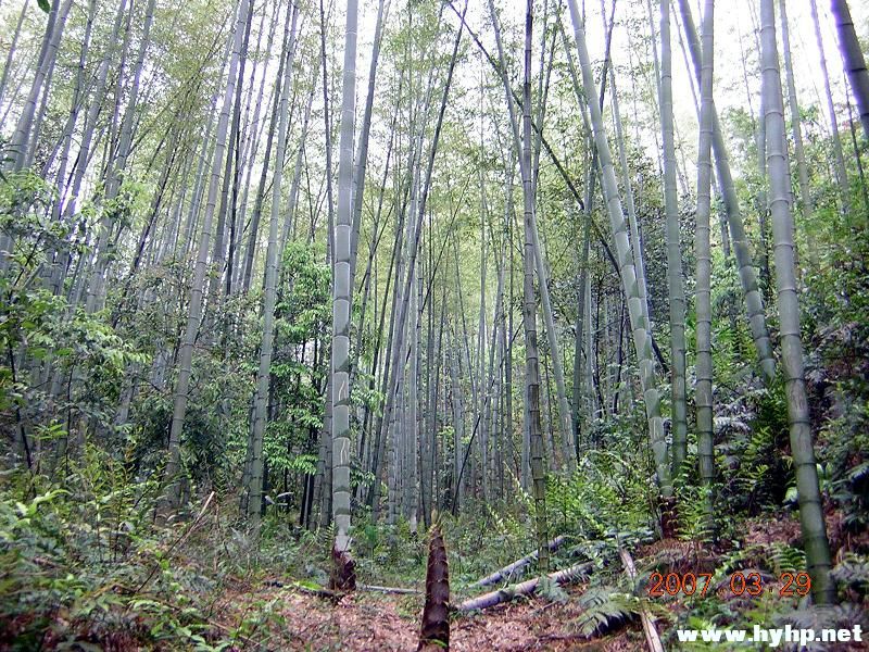 DSCN3361.jpg