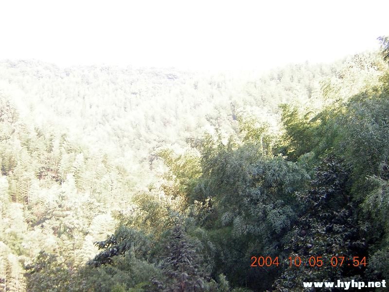 DSCN0279.JPG