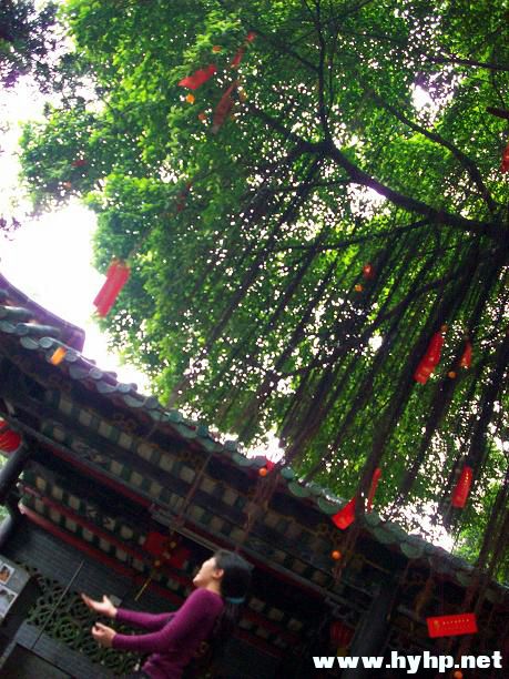 100_0348.JPG