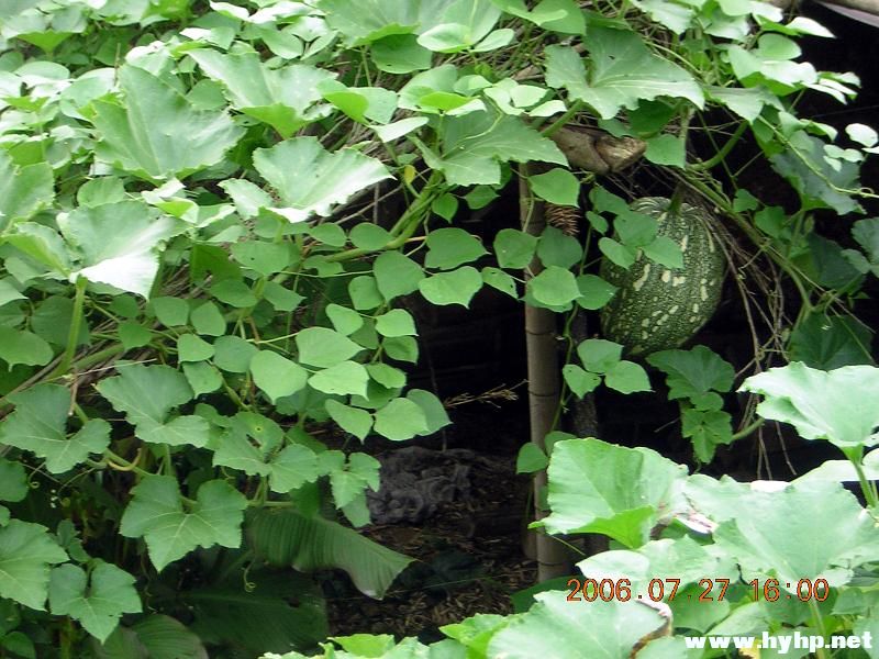 DSCN1615.JPG