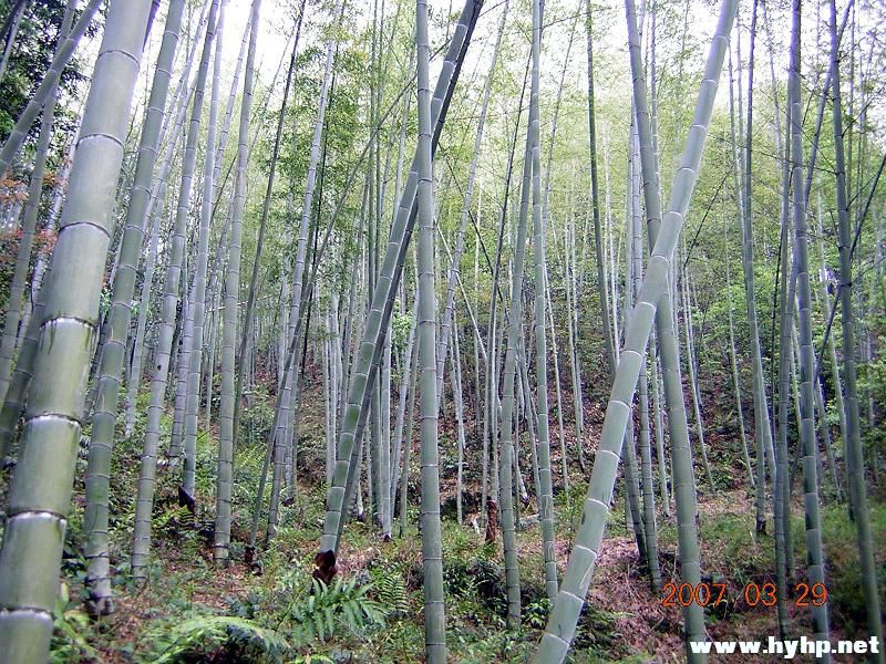 DSCN3354.jpg