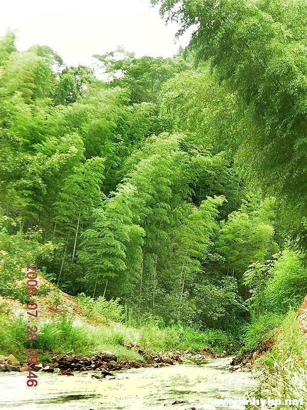 DSCN1666.JPG