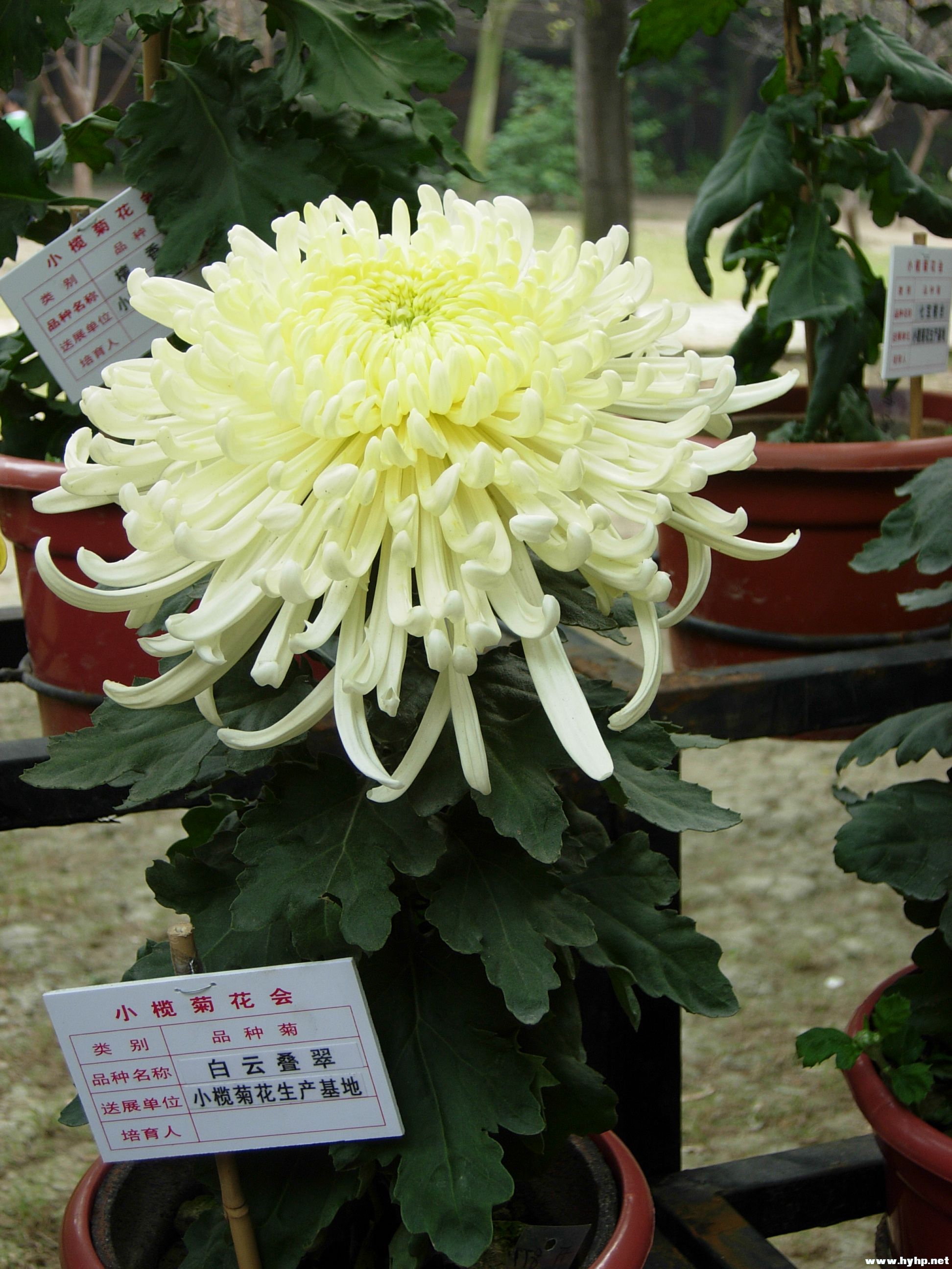 DSCN3980.JPG