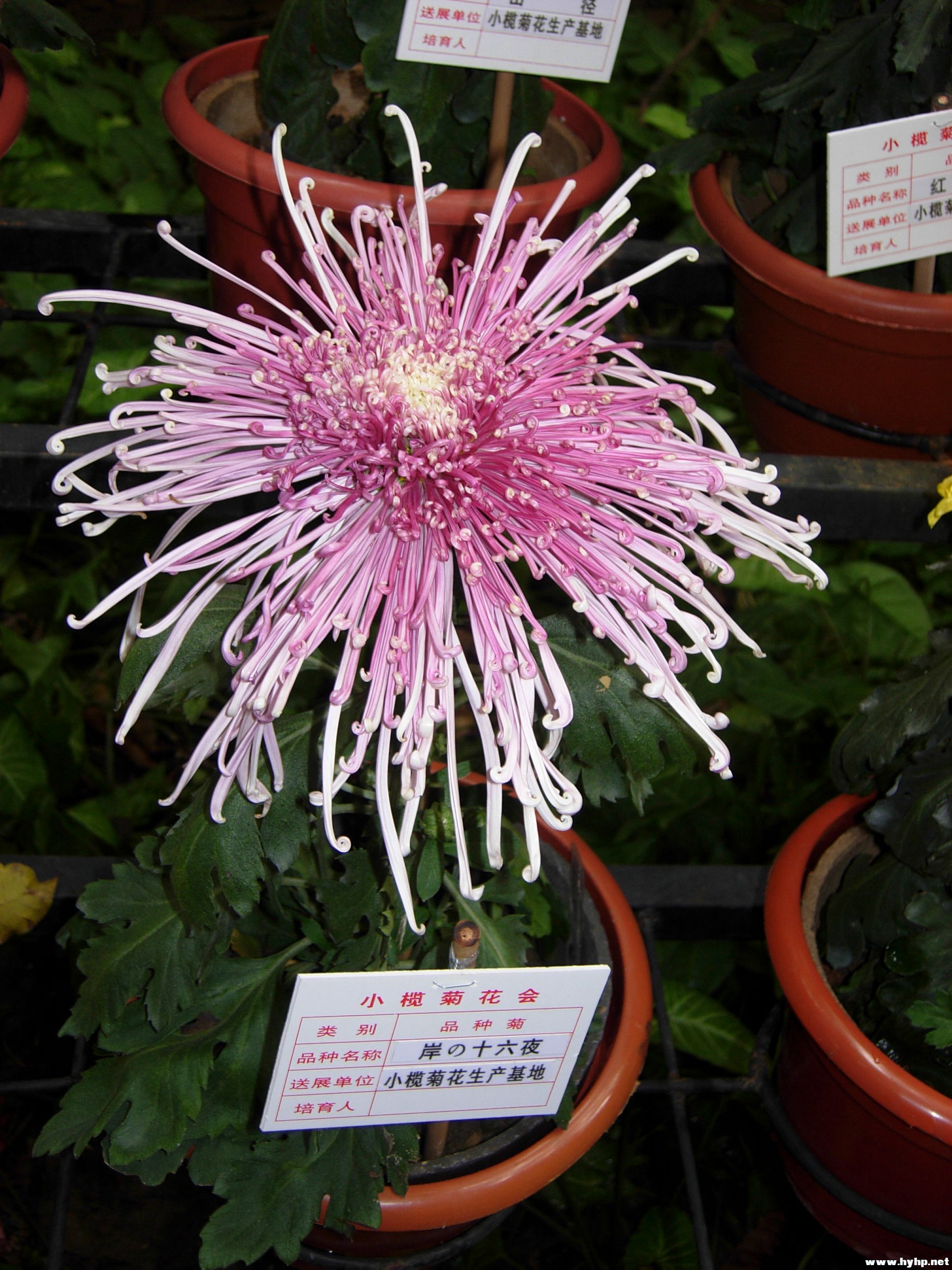 DSCN3988.JPG