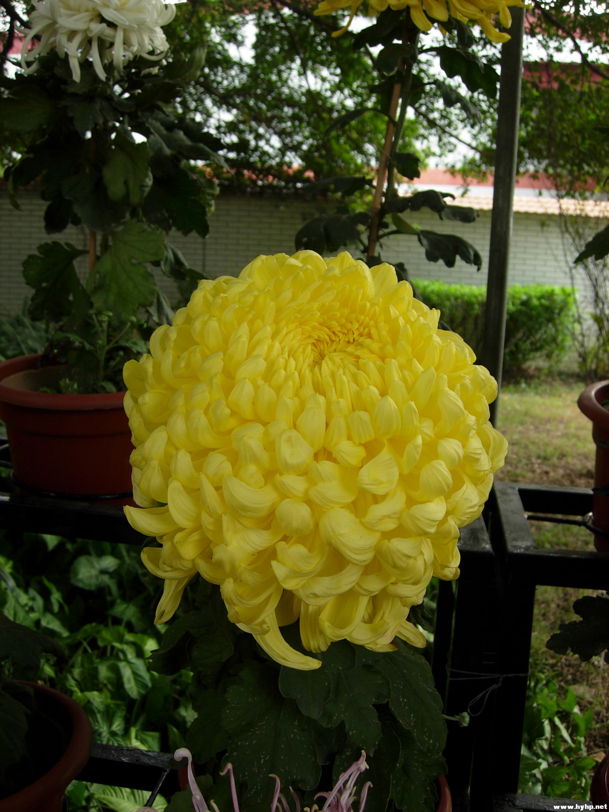 DSCN3947.JPG