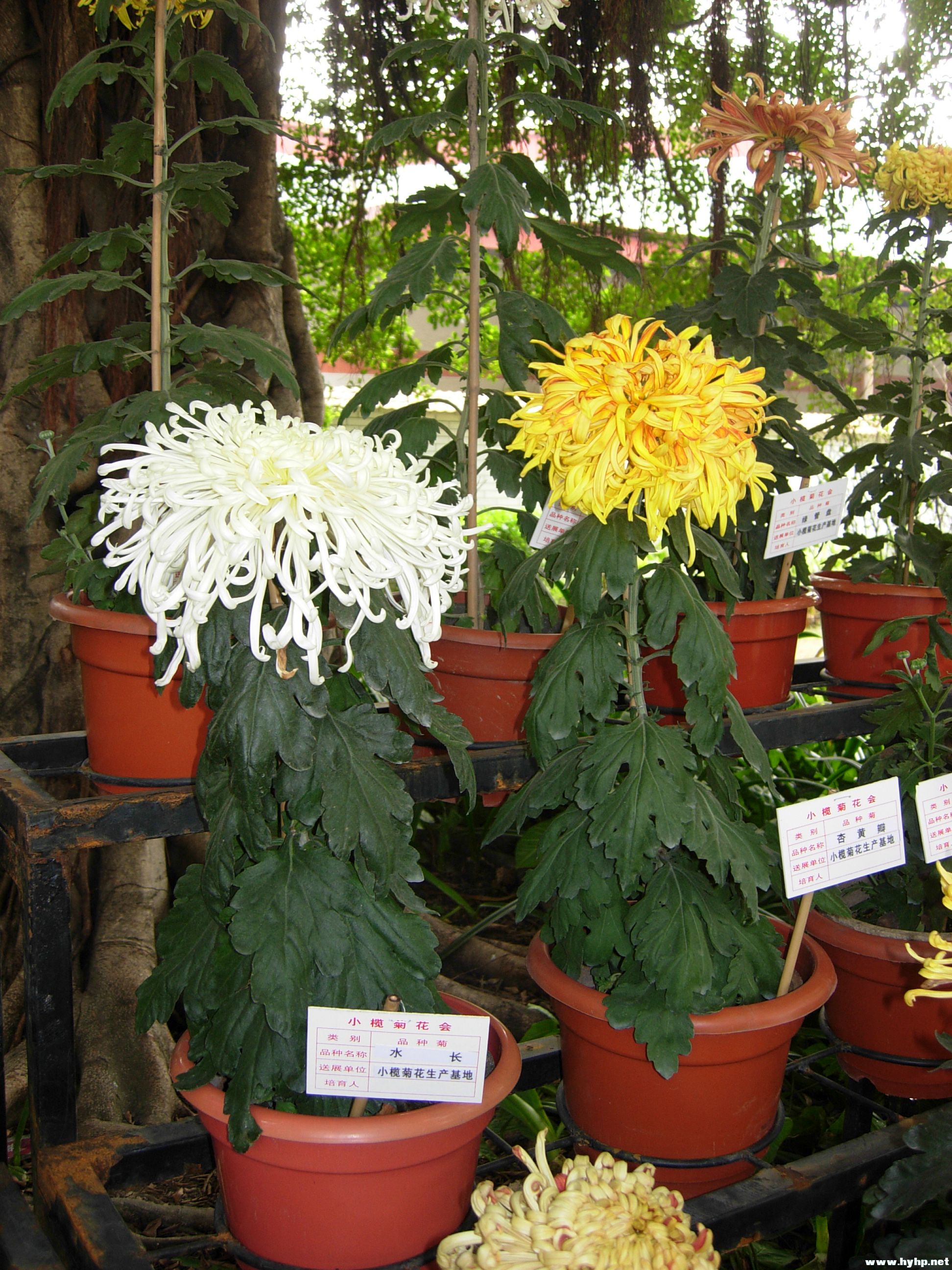 DSCN3943.JPG