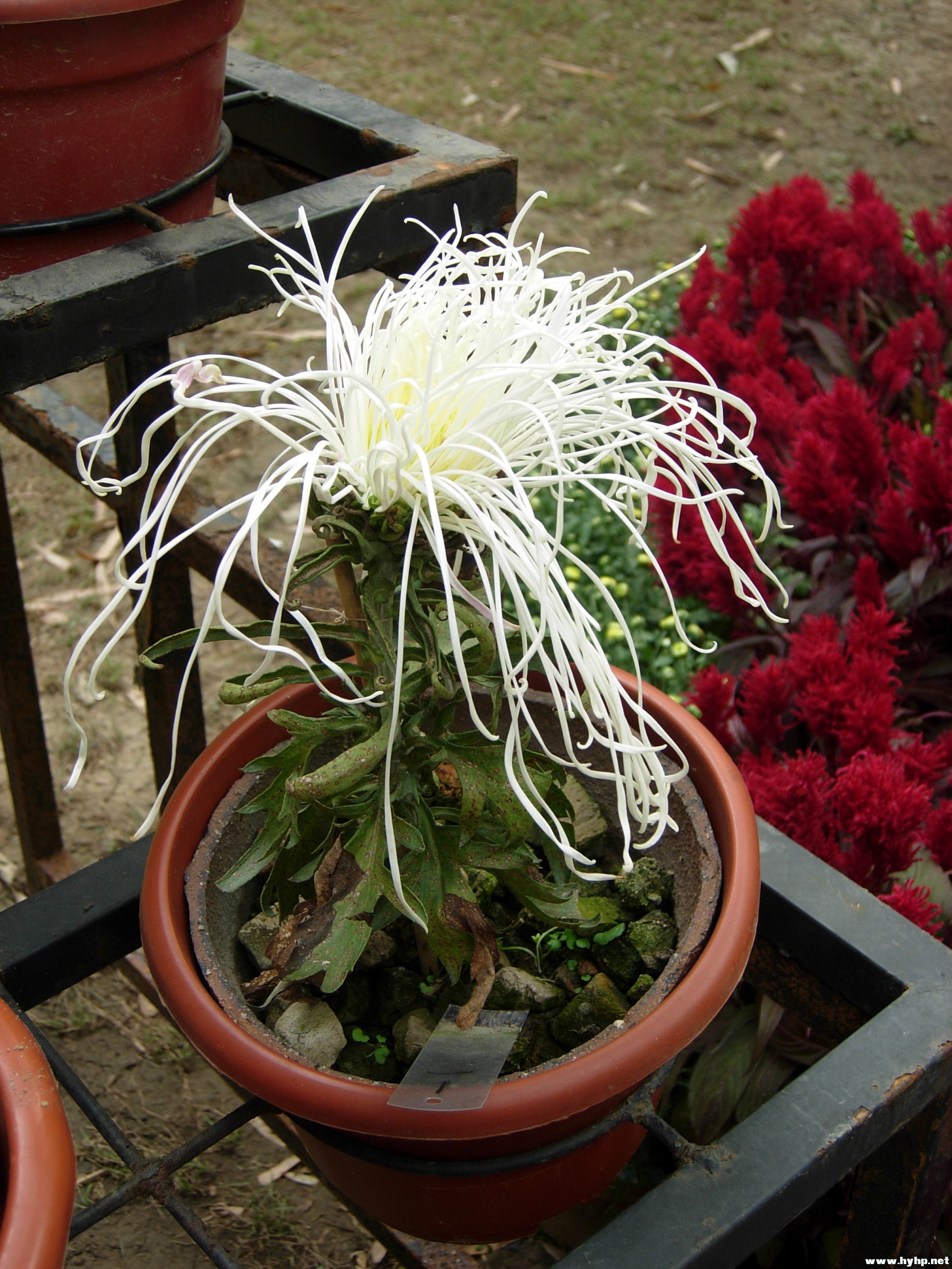 DSCN3959.JPG