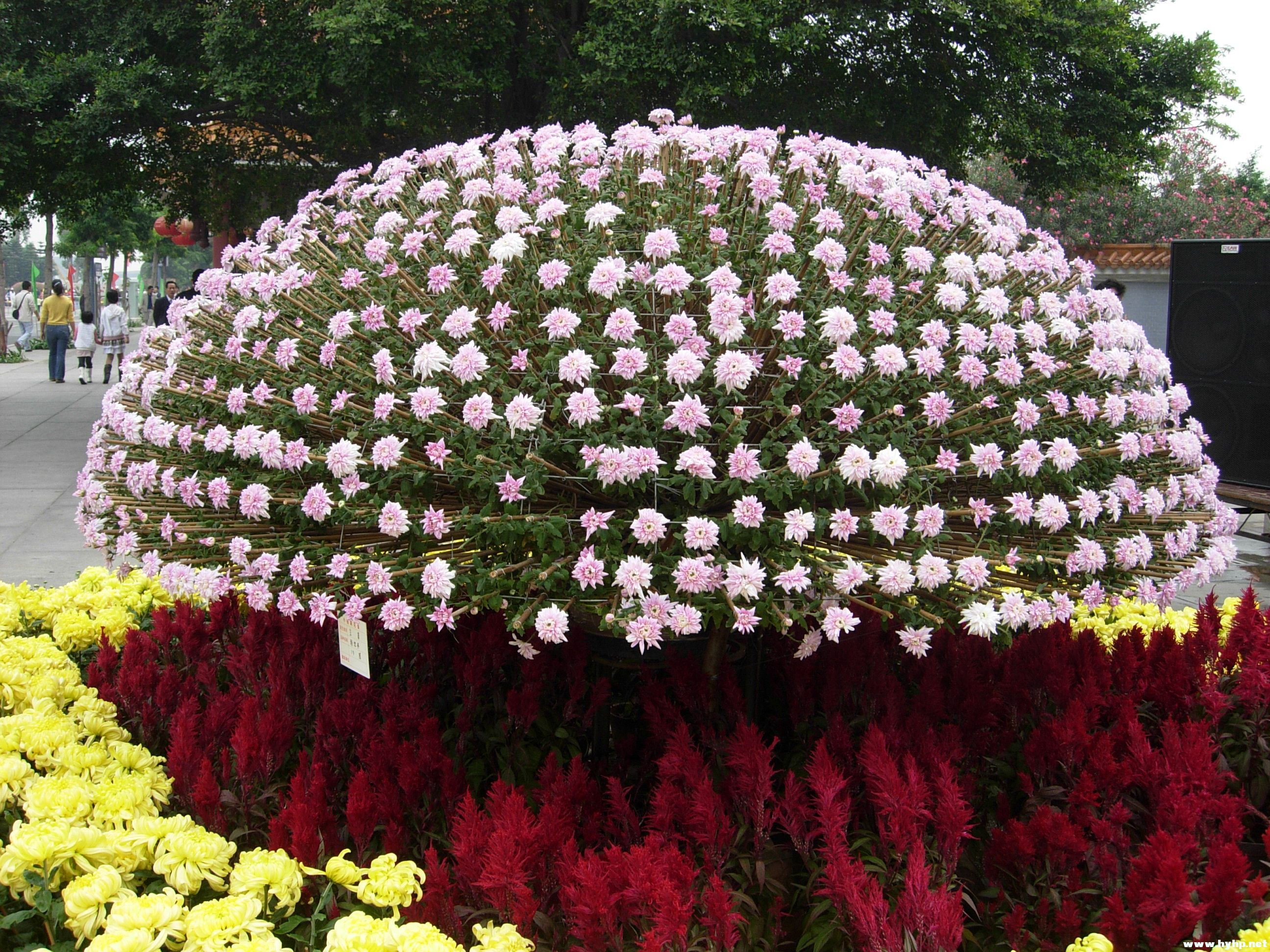 DSCN3924.JPG