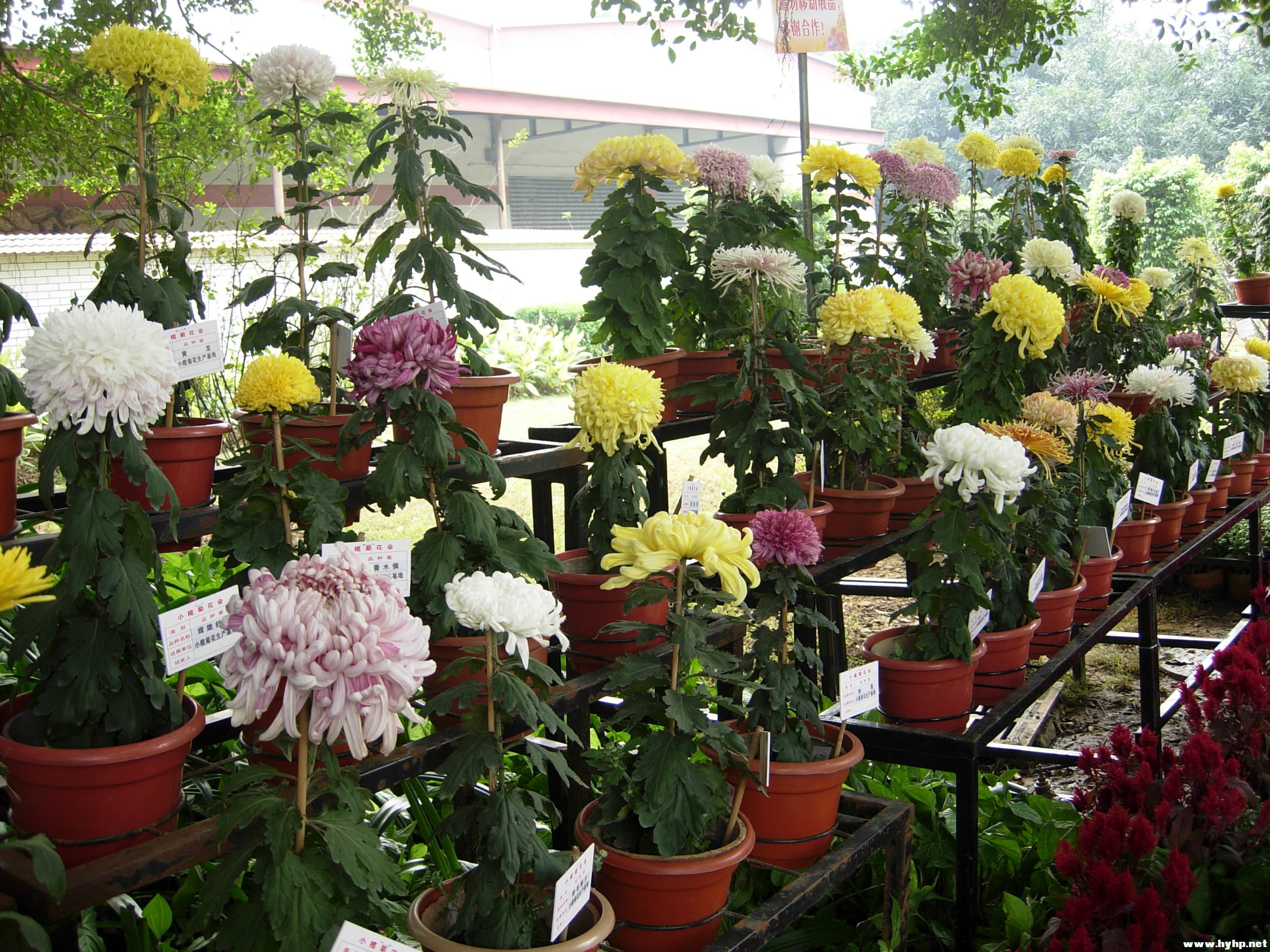 DSCN3945.JPG