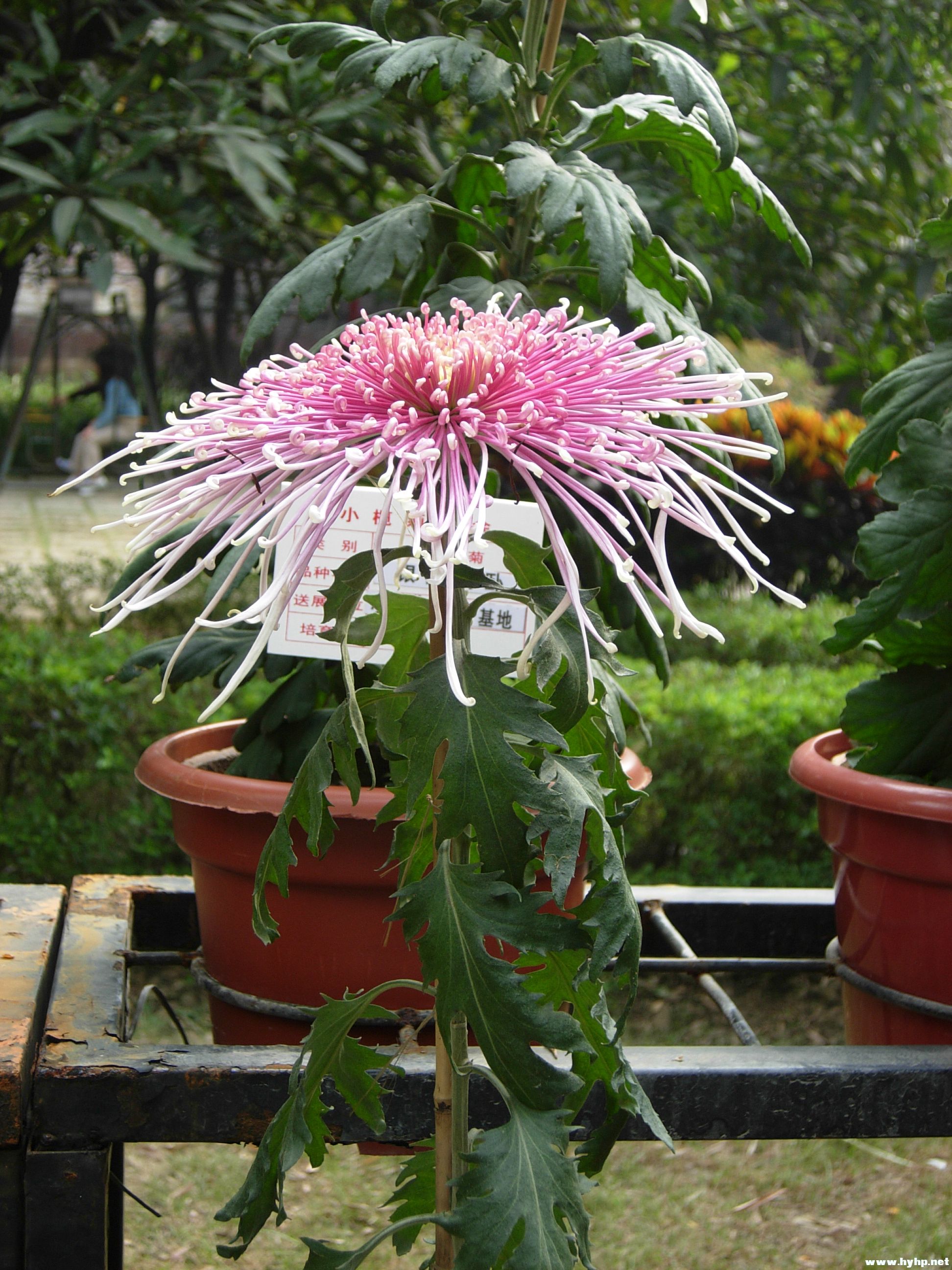 DSCN3977.JPG