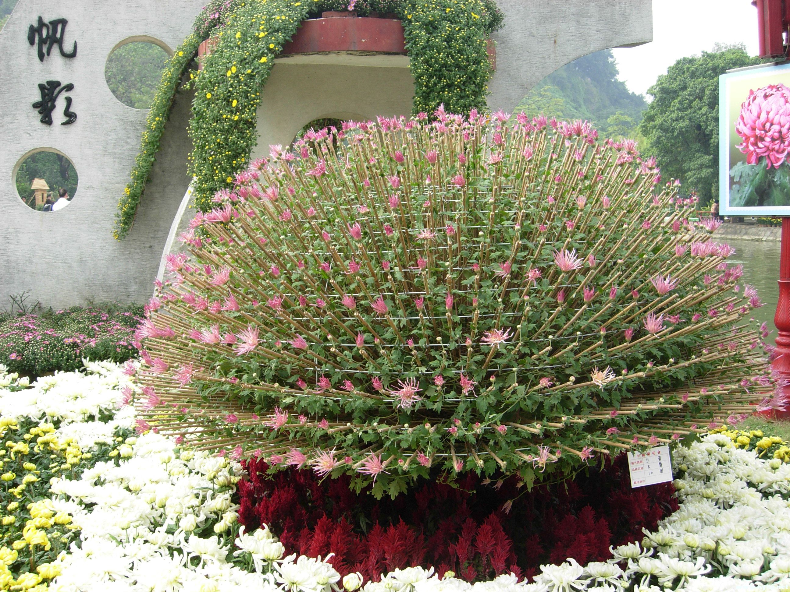 DSCN3938.JPG