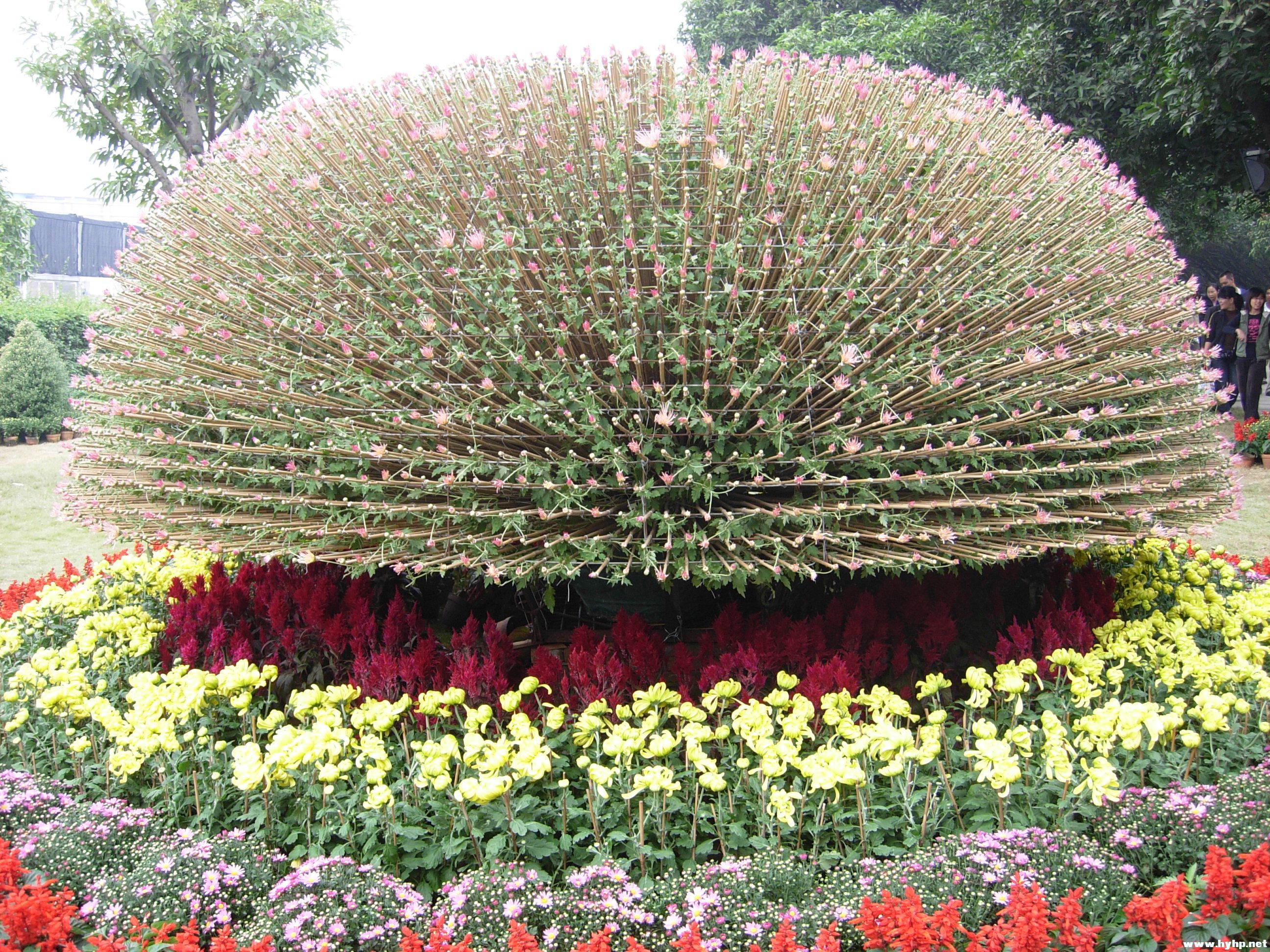 DSCN4007.JPG