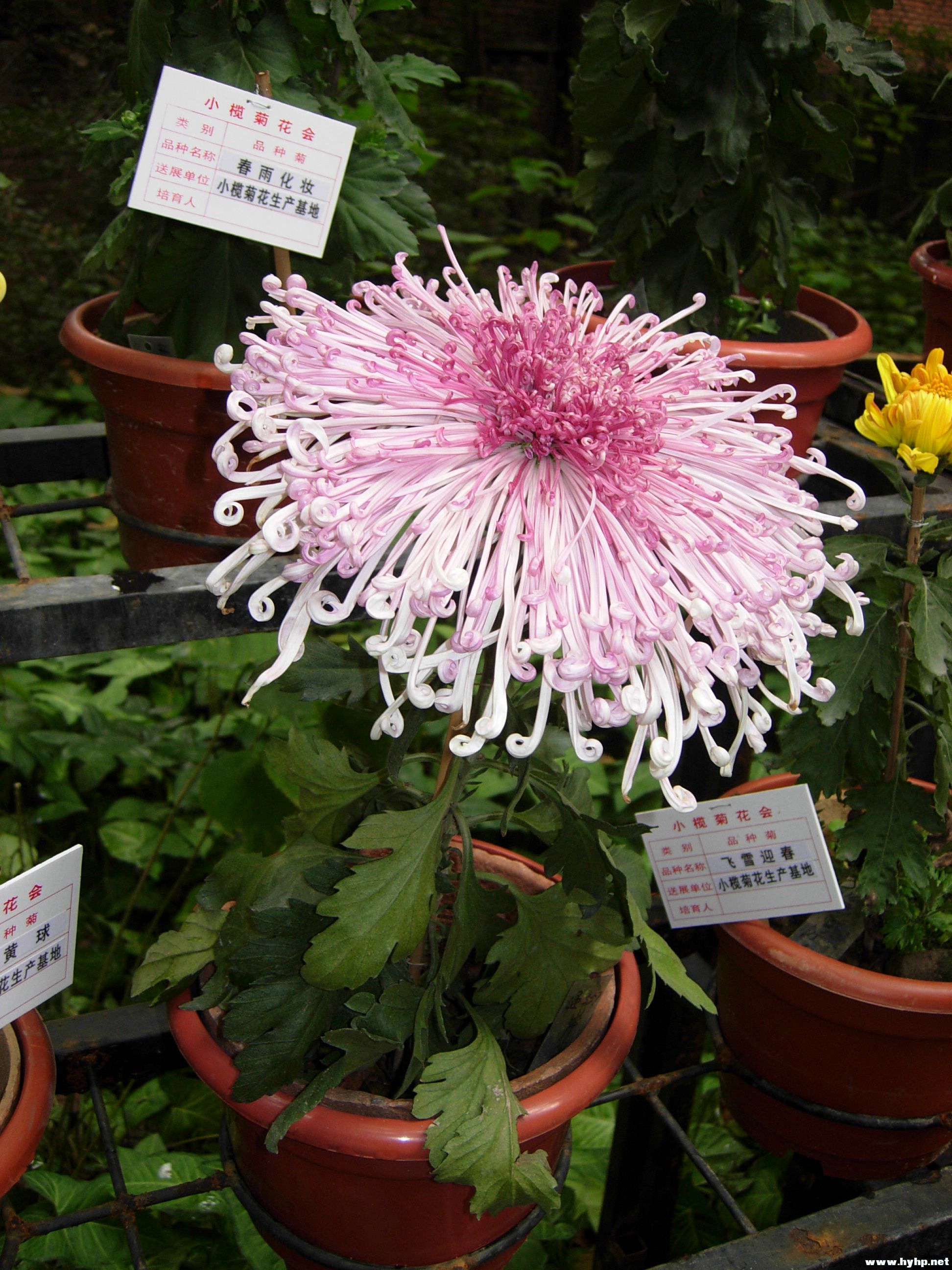 DSCN3998.JPG