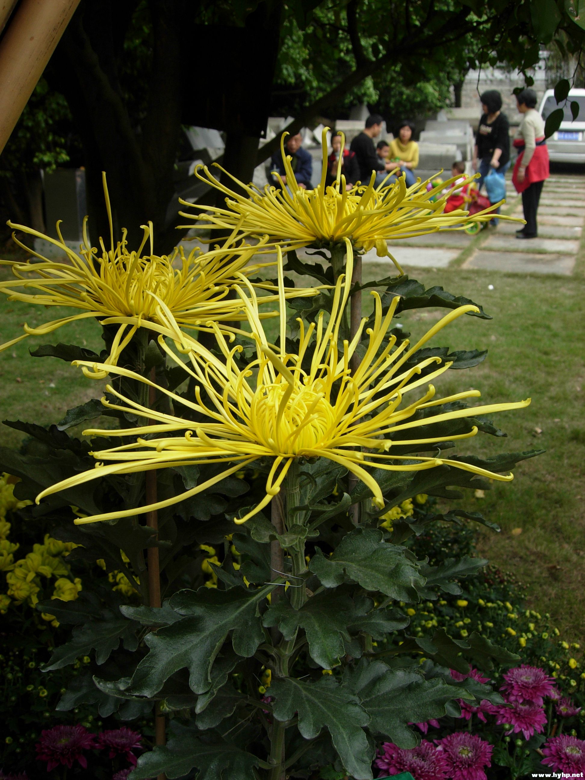 DSCN3936.JPG