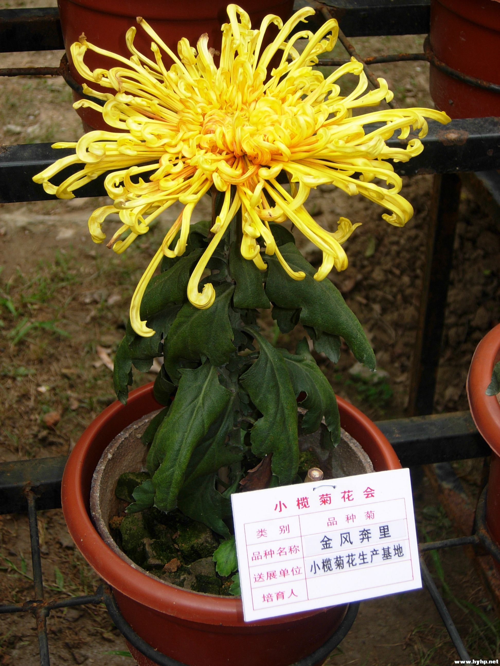 DSCN3985.JPG