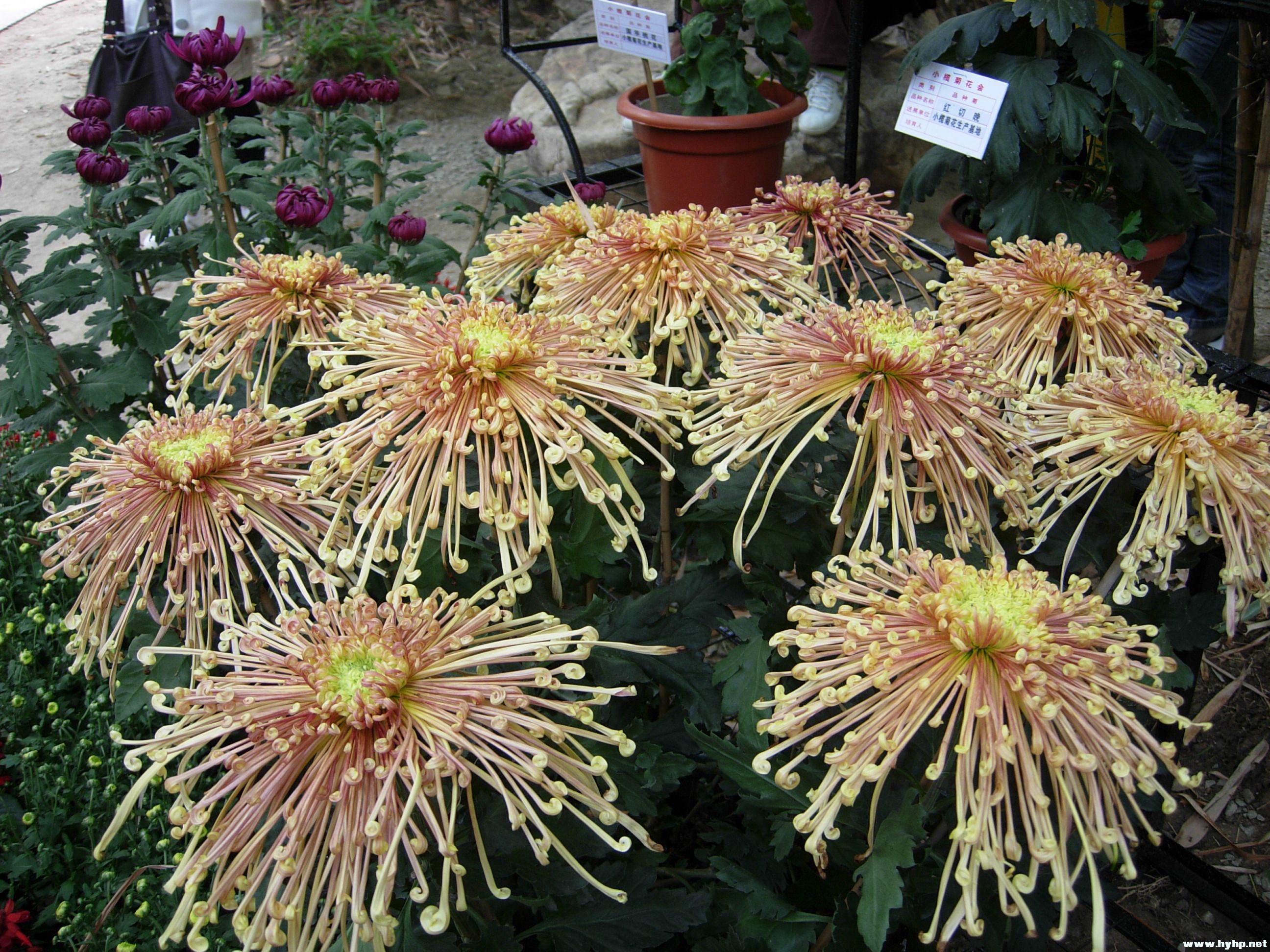 DSCN3969.JPG