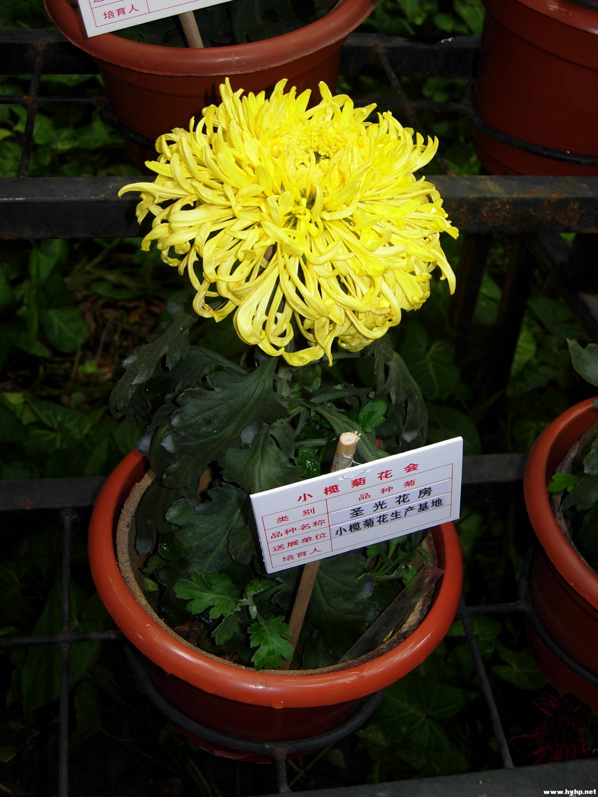 DSCN3989.JPG