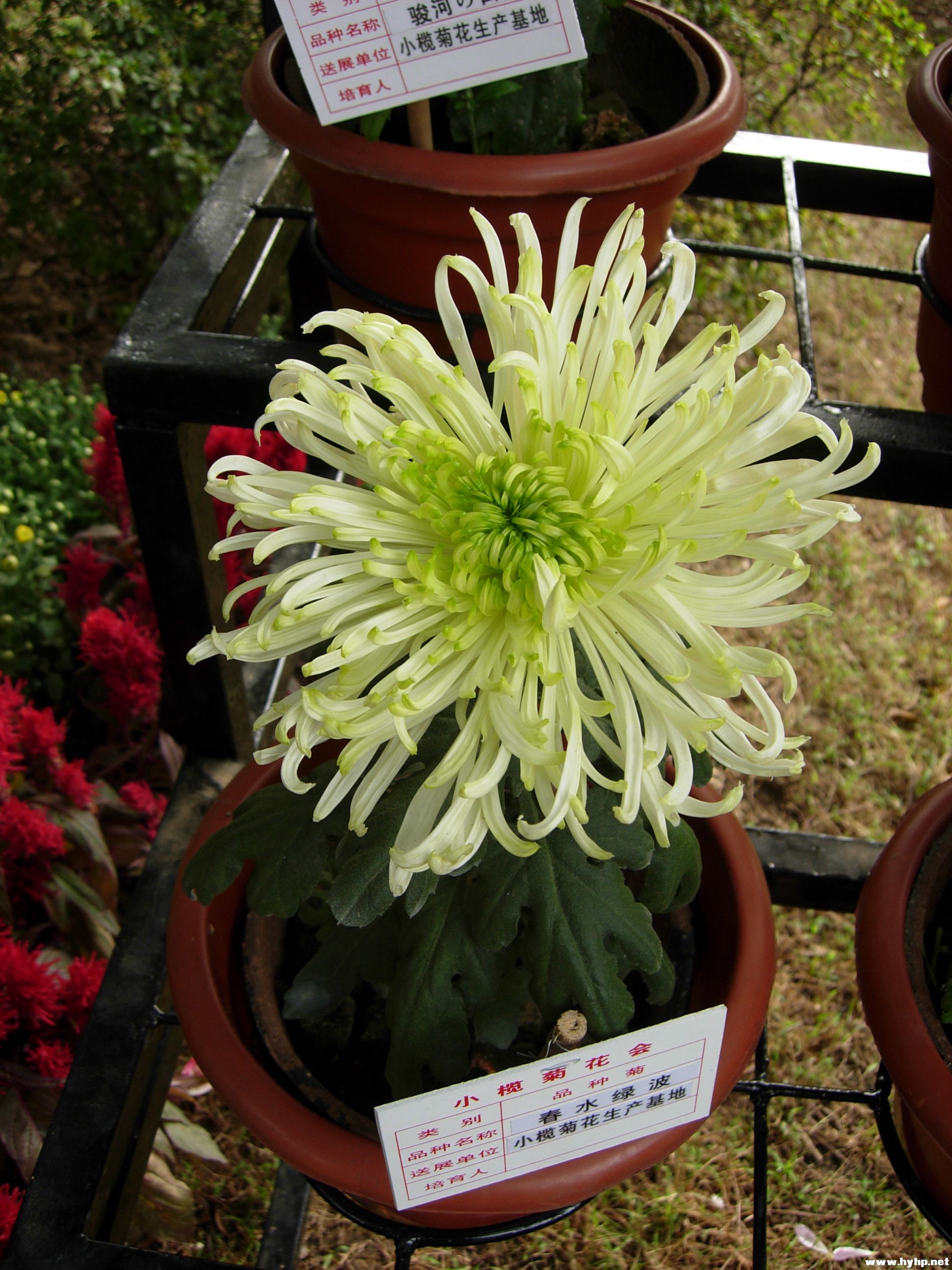 DSCN3948.JPG