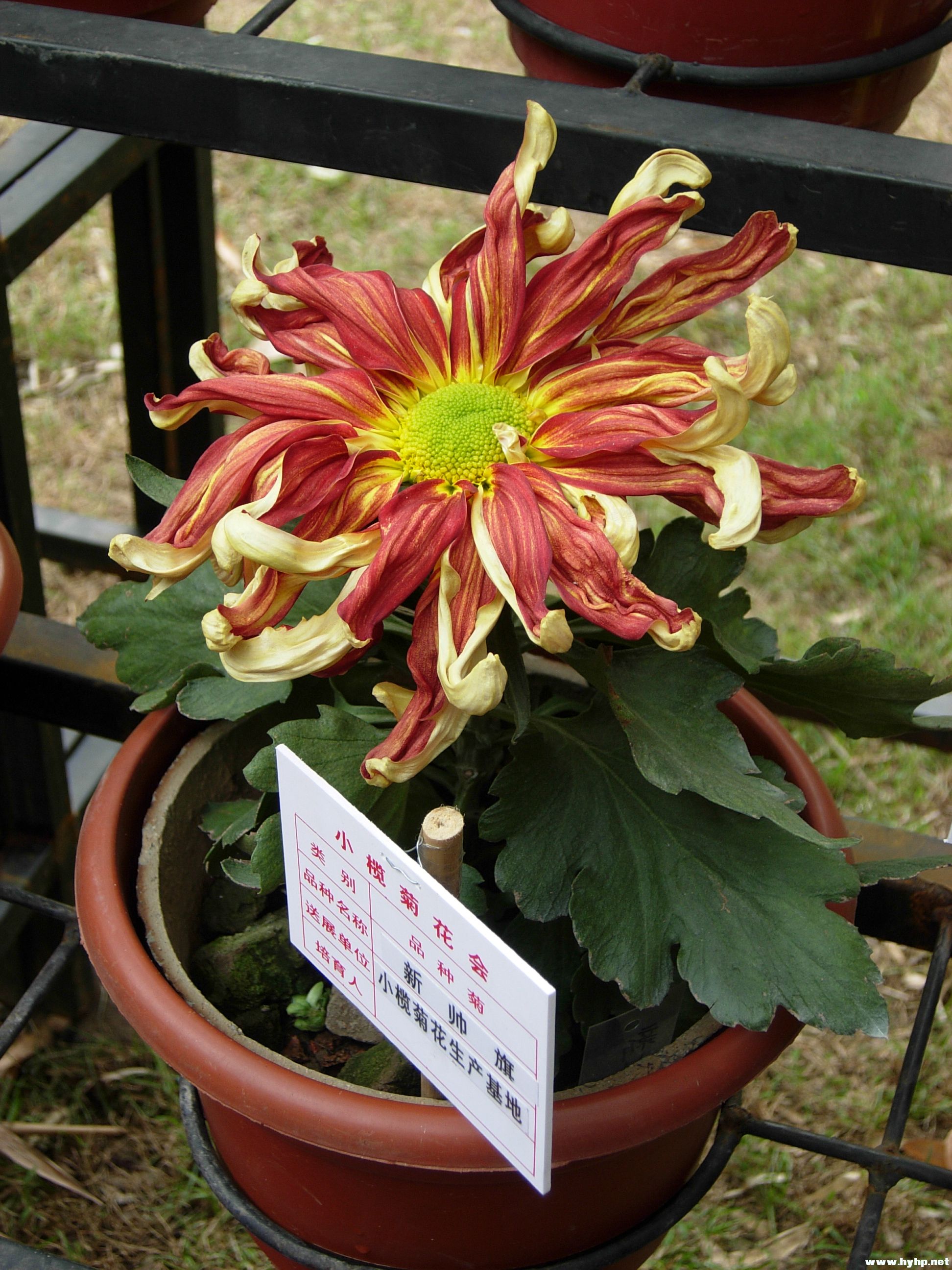 DSCN3979.JPG
