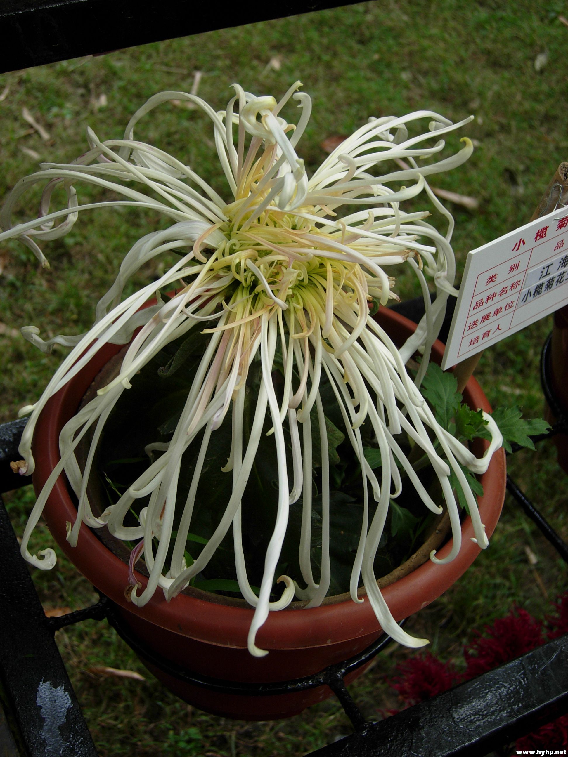 DSCN3967.JPG