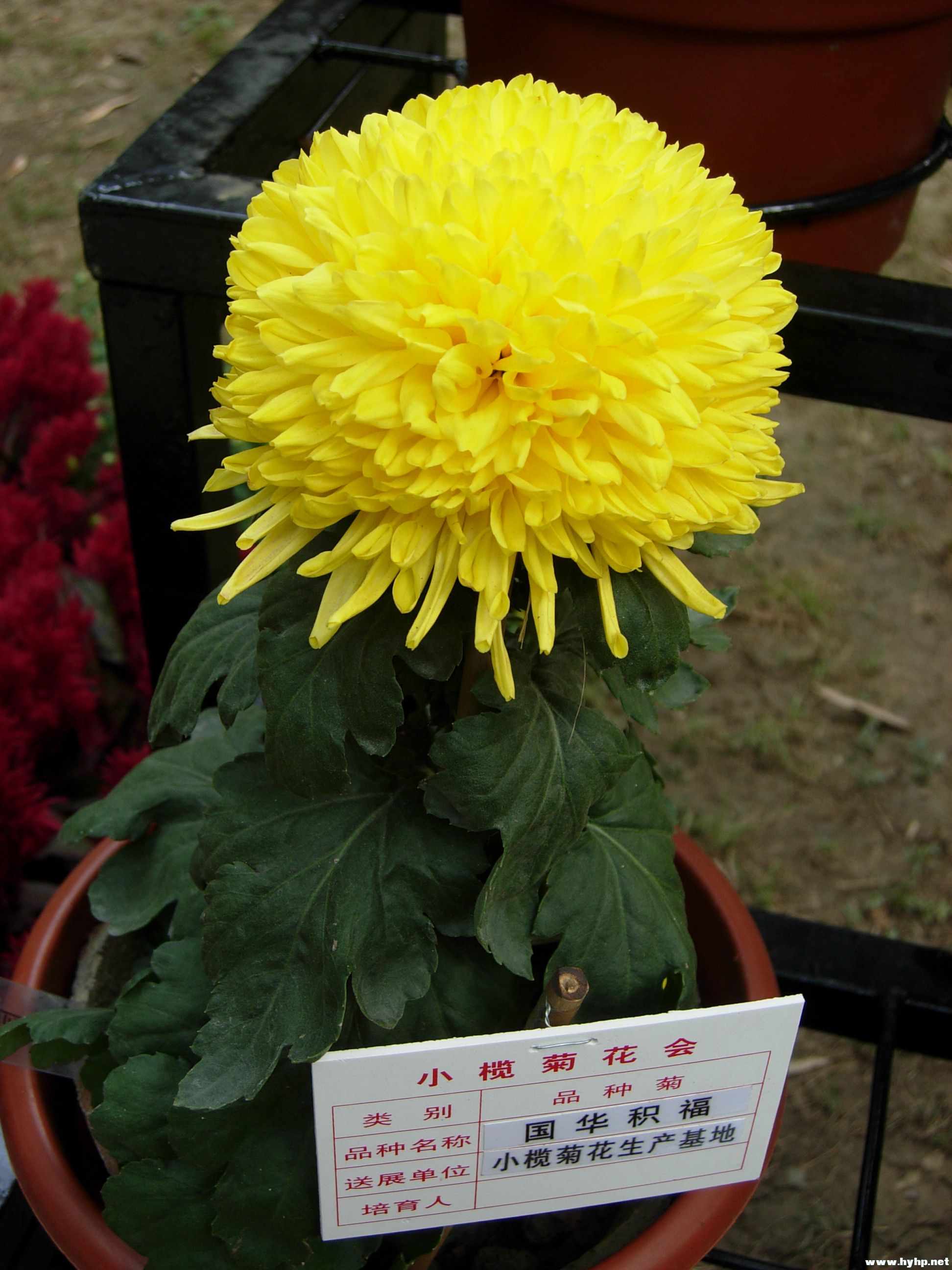DSCN3963.JPG