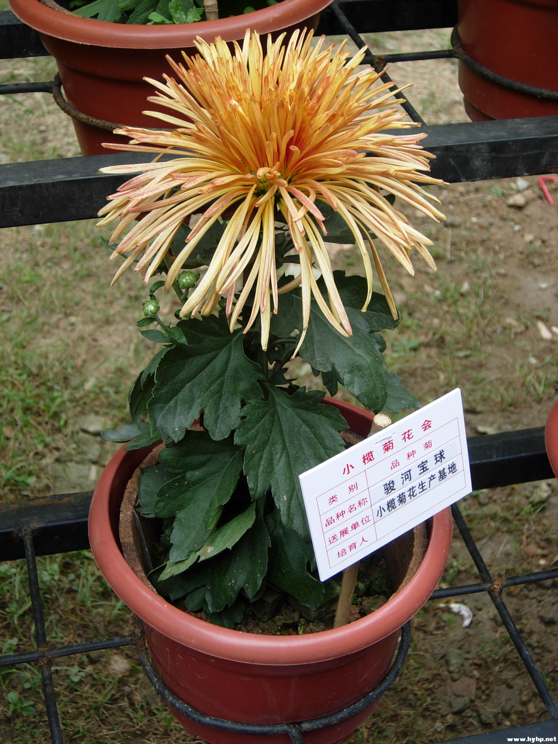 DSCN3983.JPG