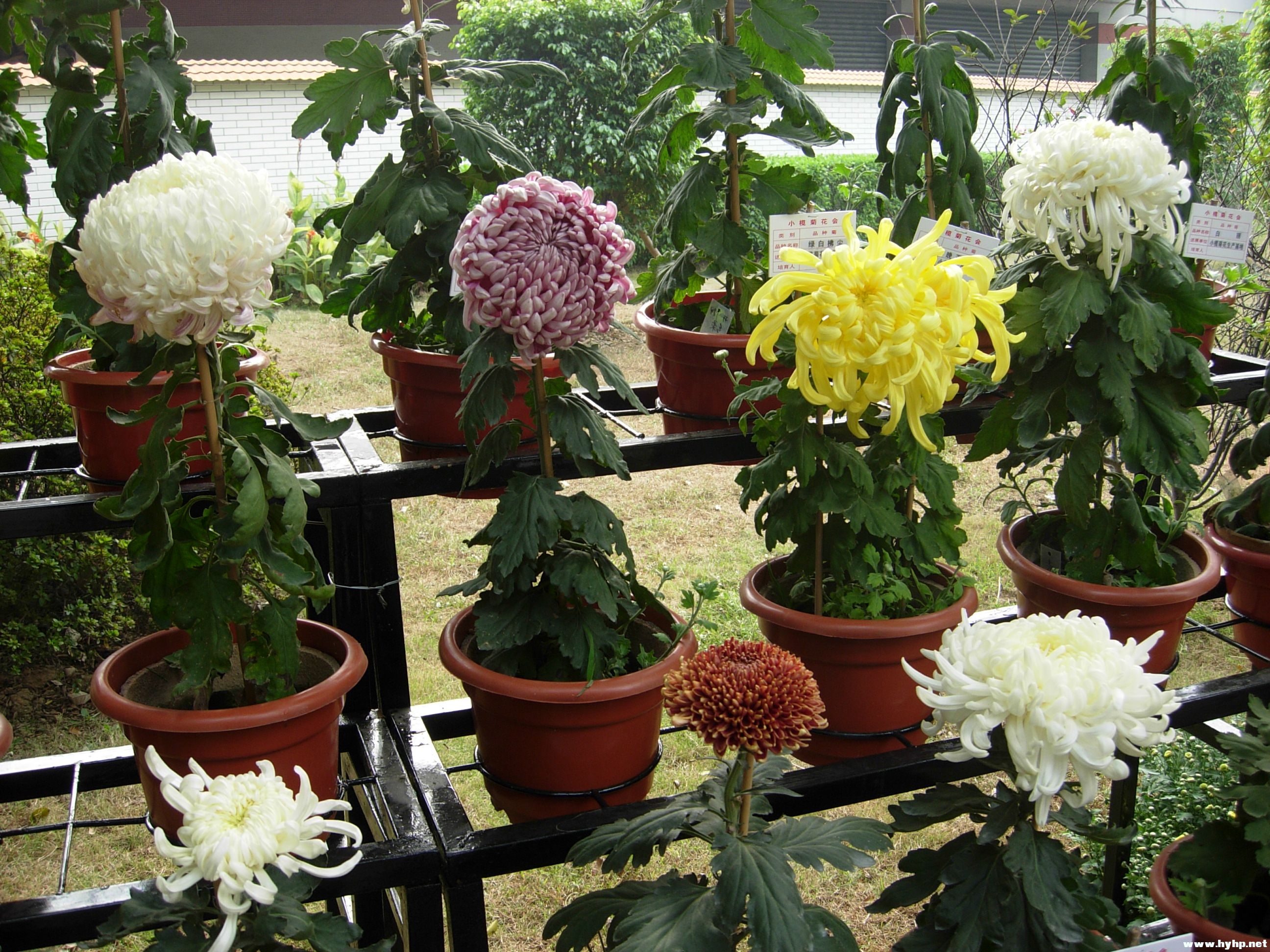 DSCN3949.JPG