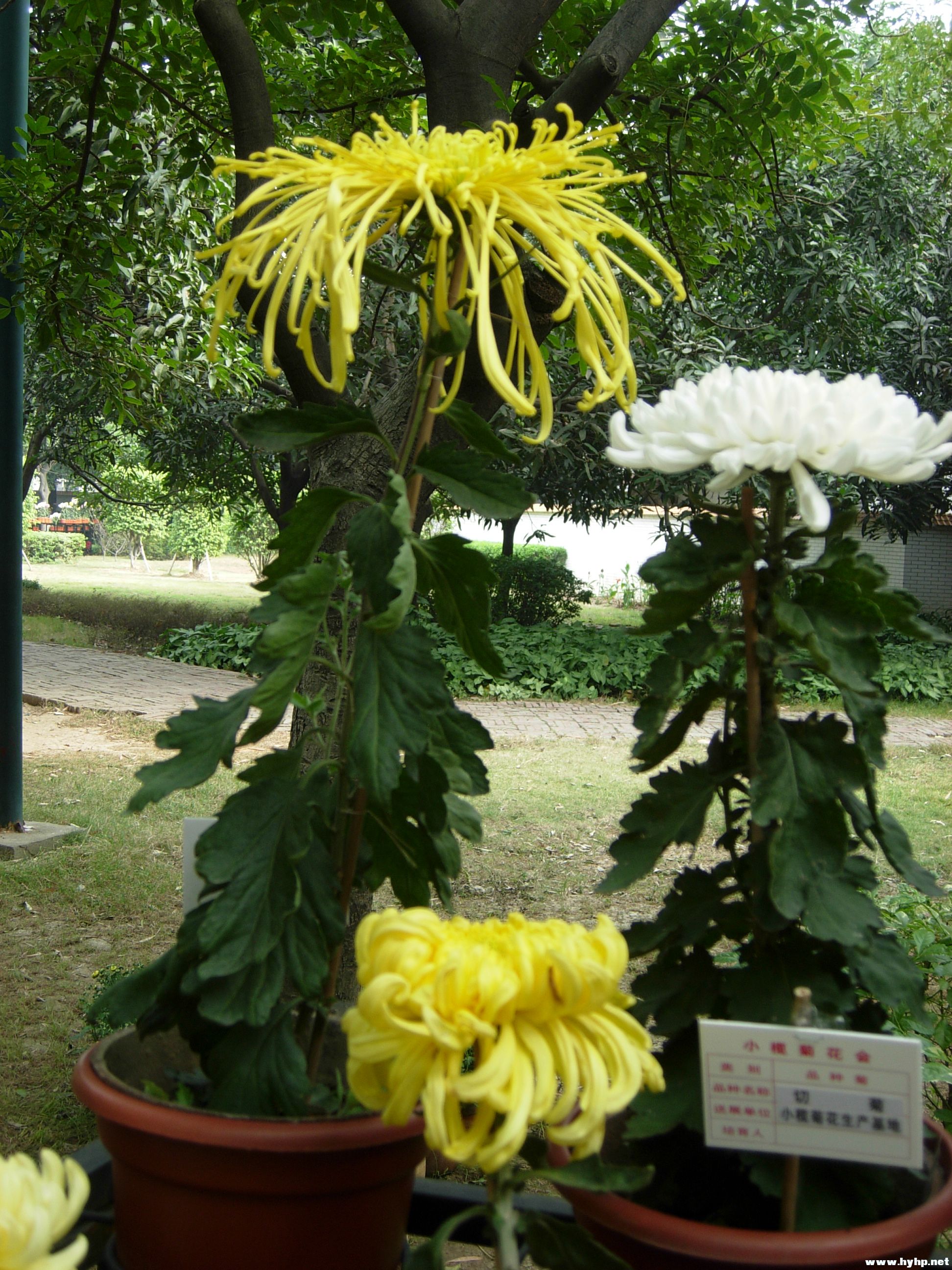 DSCN3964.JPG