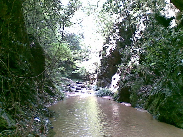 20090815(006).jpg