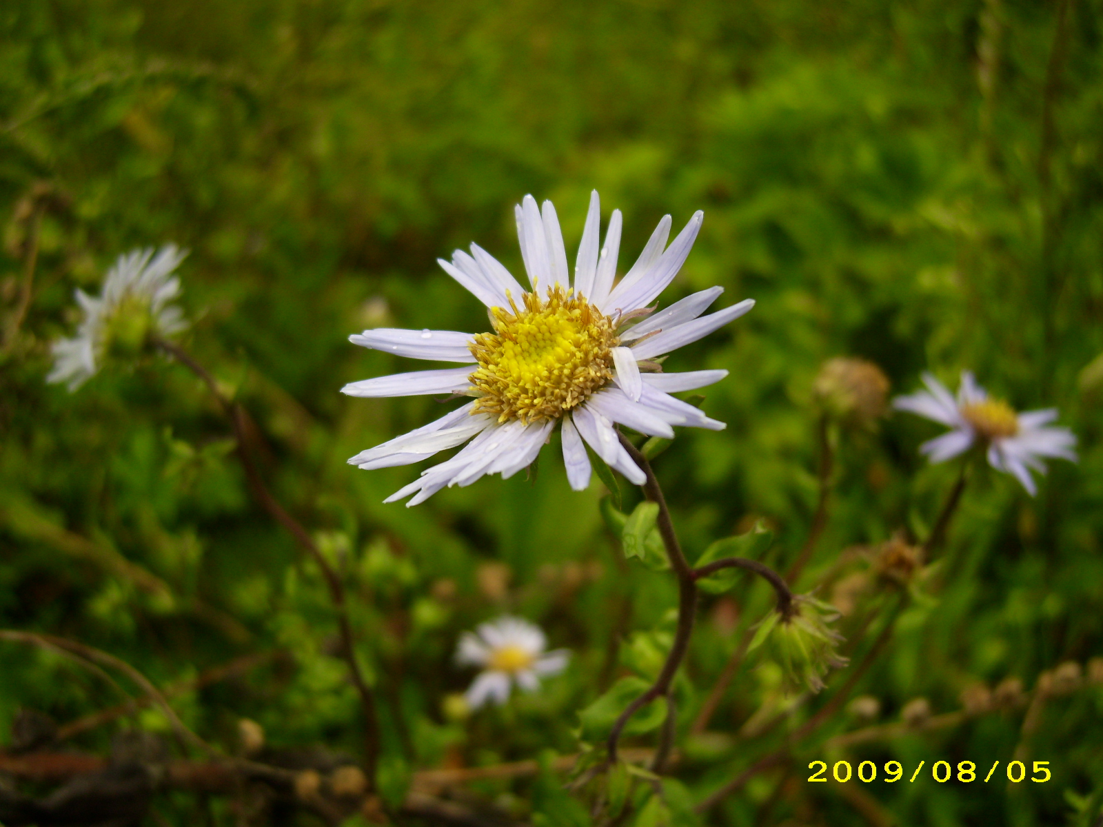 IMG_3021.JPG
