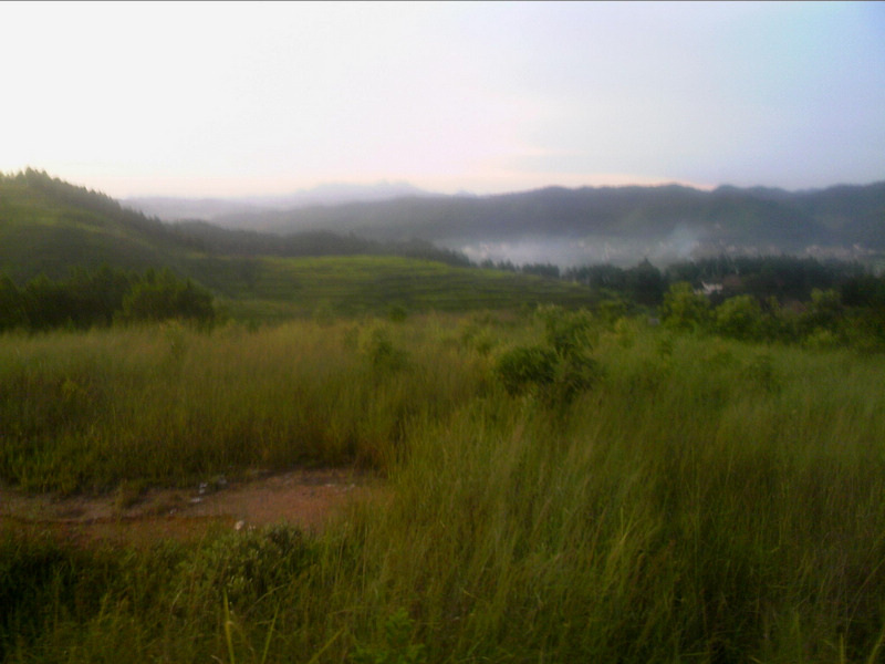 100802A017.jpg