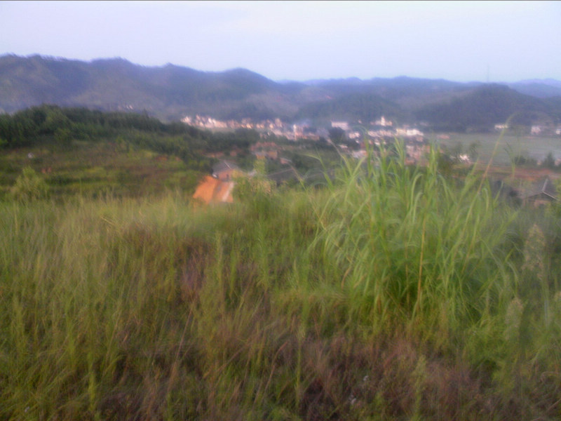 100802A021.jpg