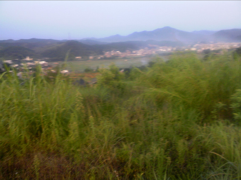 100802A020.jpg