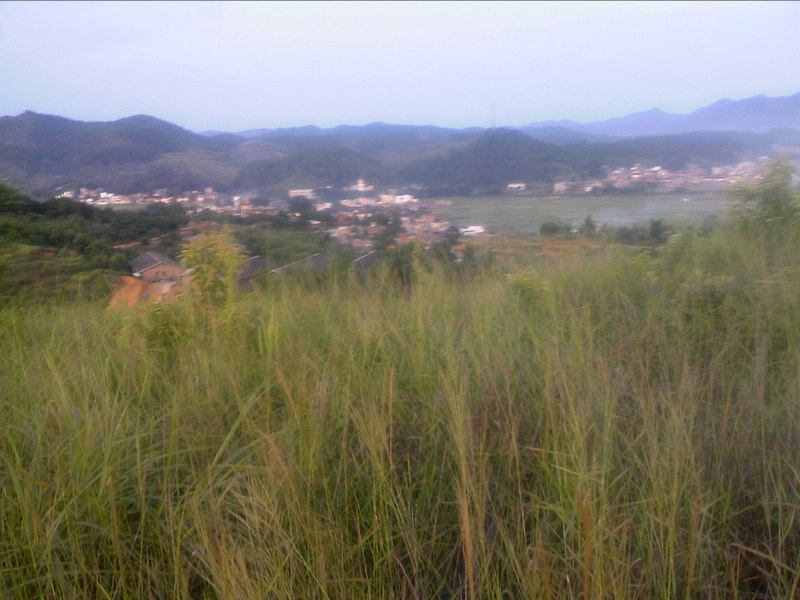 100802A022.jpg
