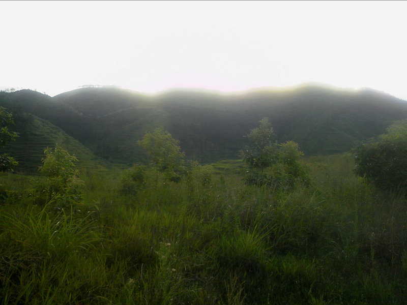 100802A013.jpg