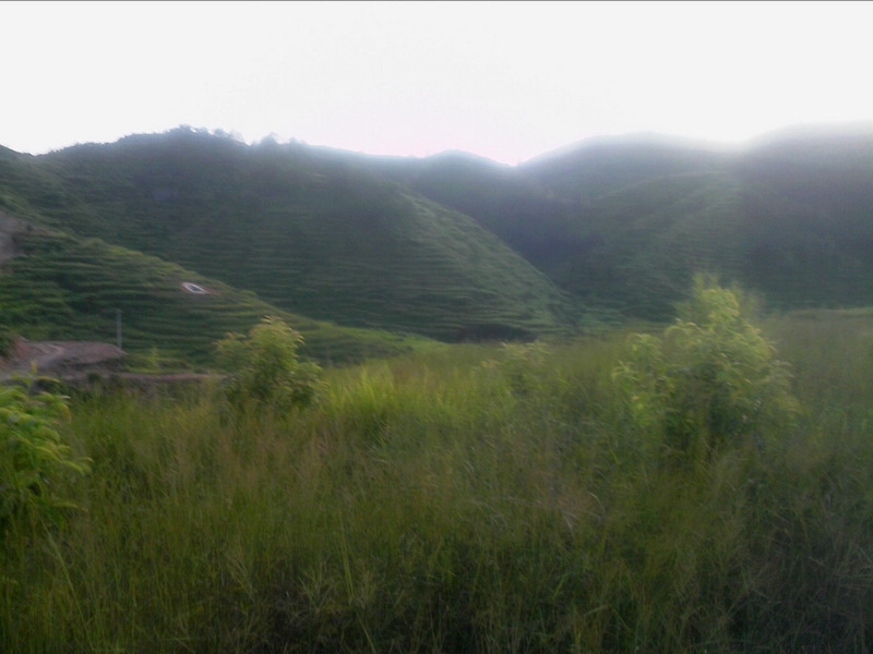 100802A015.jpg