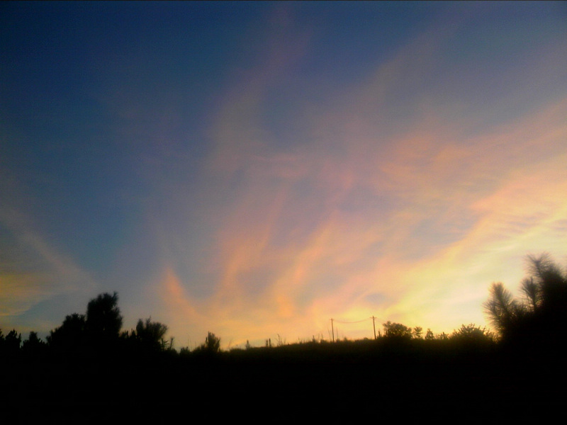 100802A030.jpg