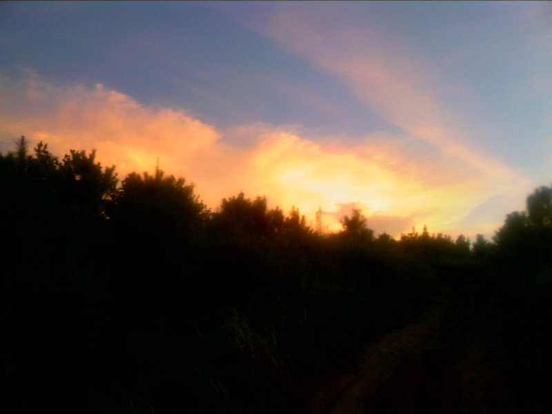 100802A028.jpg