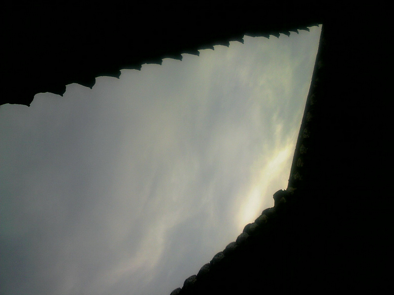 100803A008.jpg